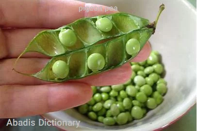 pigeon pea